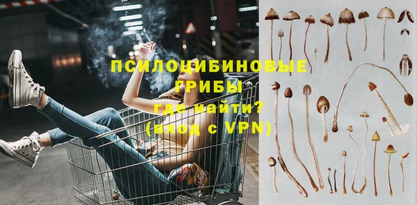 jwh Вяземский