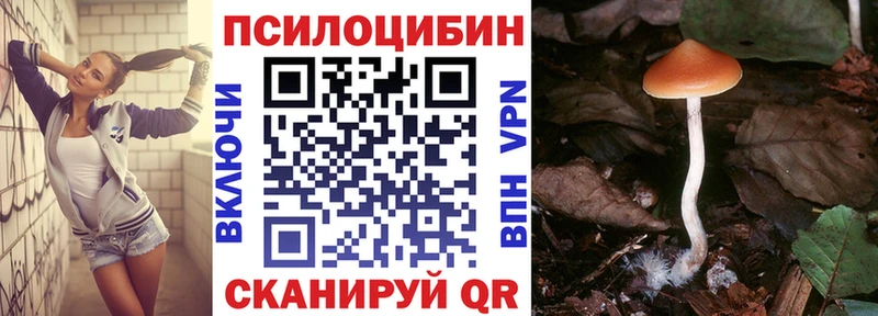 Псилоцибиновые грибы Psilocybe Борзя