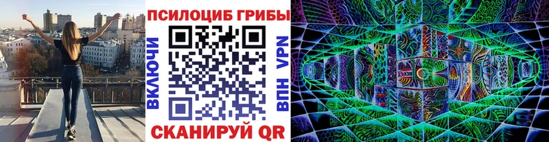 Купить закладки  Борзя  Галлюциногенные грибы ЛСД 